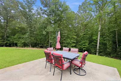 61 Erma Thomas Lane, Sanford, NC 27330 - Photo 36