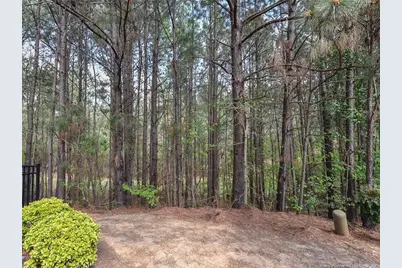 155 Cypress Hill Lane, Holly Springs, NC 27540 - Photo 42