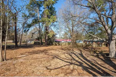226 Odell Road, Spring Lake, NC 28390 - Photo 2