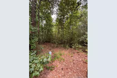 265 Fairway Lane, Sanford, NC 27332 - Photo 4