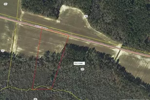Tbd Walter Gilbson (Tract N 4) Rd, Red Springs, NC 28377 - Photo 1