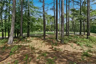 288 Gallery Dr, Spring Lake, NC 28390 - Photo 2