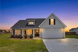 544 Carolina Church Rd, Saint Pauls, NC 28384 - Photo 1