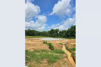297 Margot Manor Drive, Benson, NC 27504 - Photo 2