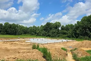 297 Margot Manor Dr, Benson, NC 27504 - Photo 2