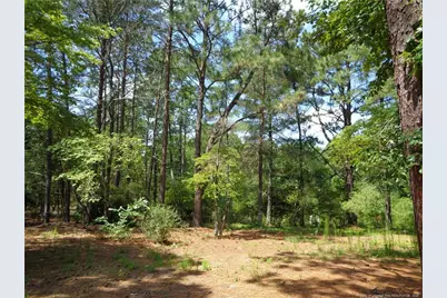 303 Archie Road, West End, NC 27376 - Photo 42