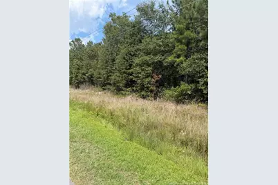 Siversten Road, Autryville, NC 28318 - Photo 2