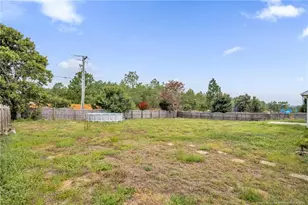 33 Blue Chip Ct, Broadway, NC 27505 - Photo 34