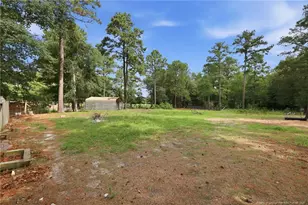 254 Docs Rd, Lillington, NC 27546 - Photo 42