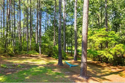 16401 Lakeshore Drive, Wagram, NC 28396 - Photo 40