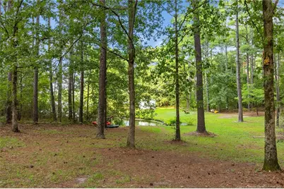 16401 Lakeshore Drive, Wagram, NC 28396 - Photo 46