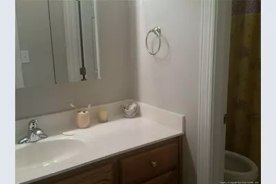 866 Loblolly Drive, Vass, NC 28394 - Photo 34