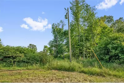 00 Laia Hills (Lot 1) Road, Siler City, NC 27344 - Photo 16