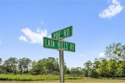 00 Laia Hills (Lot 4) Road, Siler City, NC 27344 - Photo 26