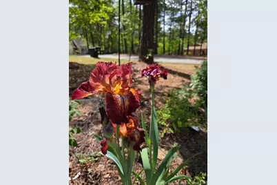 18 Mill Run, Sanford, NC 27332 - Photo 40