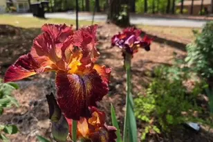 18 Mill Run, Sanford, NC 27332 - Photo 40