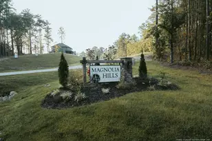20 Pomegranate Ct, Cameron, NC 28326 - Photo 46