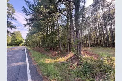 S Plank Road, Sanford, NC 27330 - Photo 2