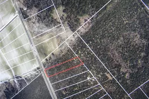 471 Mitchell Rd Lot 2 Rd, Fairmont, NC 28340 - Photo 1