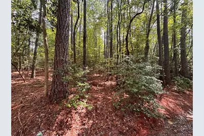 1452 Carolina Drive, Sanford, NC 27332 - Photo 2