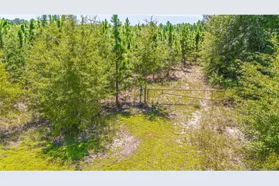 Tbd Blue Springs Road, Red Springs, NC 28377 - Photo 6