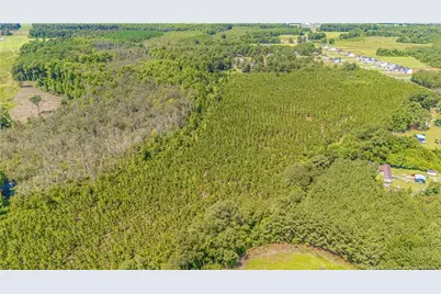 Tbd Blue Springs Road, Red Springs, NC 28377 - Photo 4