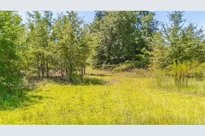 Tbd Blue Springs Road, Red Springs, NC 28377 - Photo 10