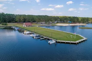 27 Lookout Point, Sanford, NC 27332 - Photo 48