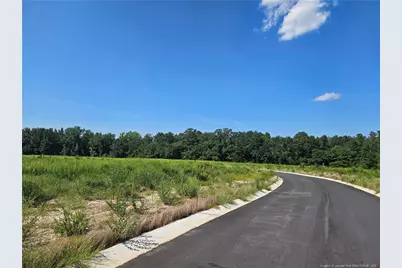 131 Britt Road, Saint Pauls, NC 28384 - Photo 4