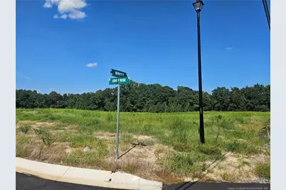 131 Britt Road, Saint Pauls, NC 28384 - Photo 2