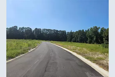 131 Britt Road, Saint Pauls, NC 28384 - Photo 6