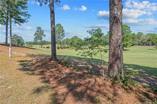 401 Carolina Way, Sanford, NC 27332 - Photo 48