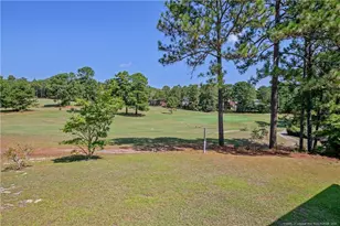 401 Carolina Way, Sanford, NC 27332 - Photo 46