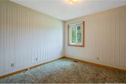 401 Carolina Way, Sanford, NC 27332 - Photo 36