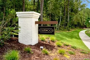 421 Thistle Meadow Ln, Aberdeen, NC 28315 - Photo 22