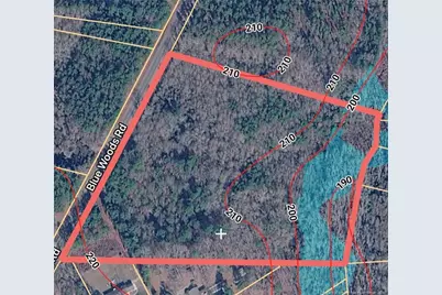 Blue Woods Road, Laurinburg, NC 28352 - Photo 1