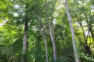 [Address not provided], Fayetteville, NC 28301 - Photo 12