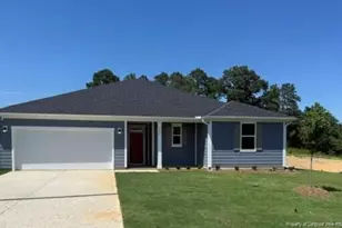 208 Matthew Mdw Ln, Lillington, NC 27546 - Photo 1