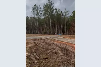 183 Thistlecone Lane, Sanford, NC 27330 - Photo 2