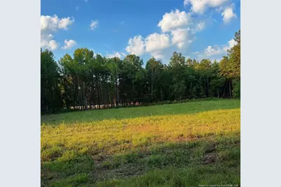 Tbd Myrtle Road, Roseboro, NC 28382 - Photo 1