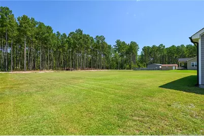 152 Josey Williams Road, Erwin, NC 28339 - Photo 26