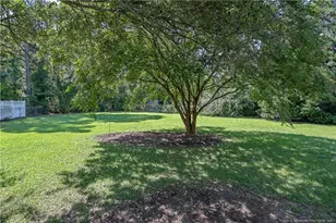 112 Nesting Ln, Raeford, NC 28376 - Photo 50