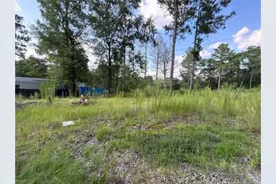 813 Wiregrass Road, Hamlet, NC 28345 - Photo 1
