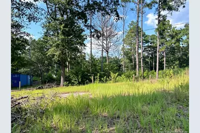 813 Wiregrass Road, Hamlet, NC 28345 - Photo 2