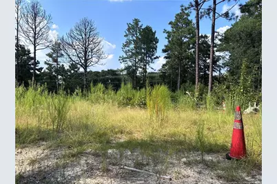 813 Wiregrass Road, Hamlet, NC 28345 - Photo 10
