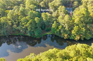 295 Sprunt Dr, Clinton, NC 28328 - Photo 4