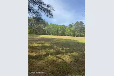 490 Springhill Church Road, Hamlet, NC 28345 - Photo 28
