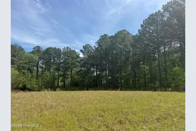490 Springhill Church Road, Hamlet, NC 28345 - Photo 30