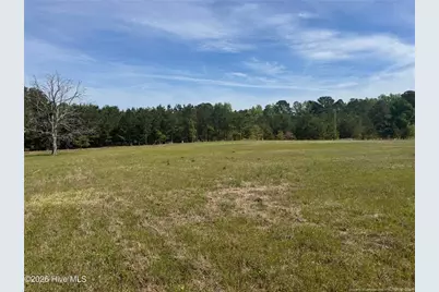 490 Springhill Church Road, Hamlet, NC 28345 - Photo 36