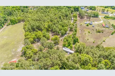 490 Springhill Church Road, Hamlet, NC 28345 - Photo 46